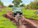 Tanzania Migration Honeymoon 
Safari - Zanzibar