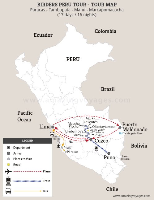 Birders Peru Tour
