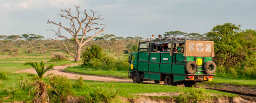 Special Interest Tours 3 - The ultimate Uganda Safari