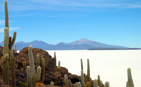 Uyuni Salt Lakes