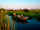 Botswana Premium Safari Tour