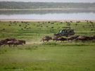 2024 Luxury Tanzania Explorer Tour