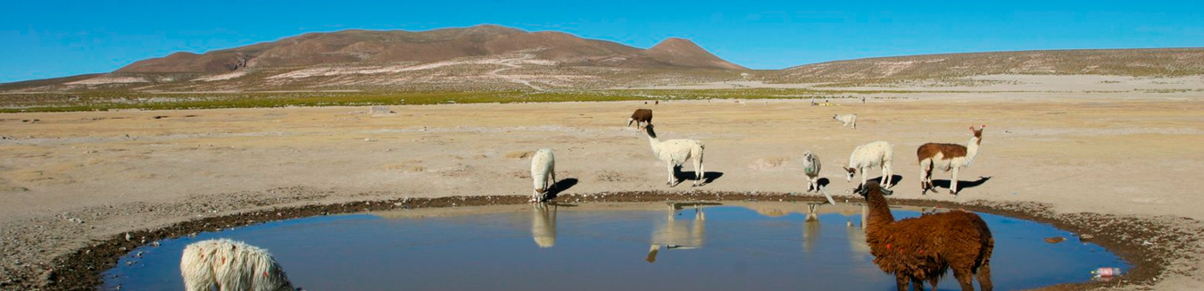 banner Bolivia Tours