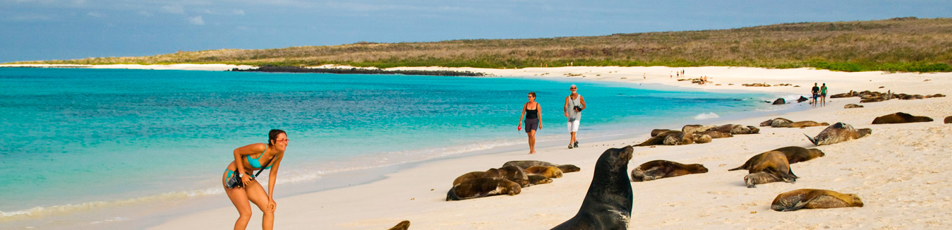 Slider Ecuador & Galapagos Tours