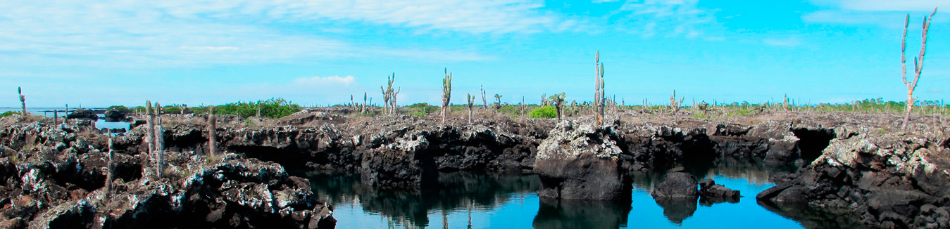 banner Ecuador & Galapagos Tours