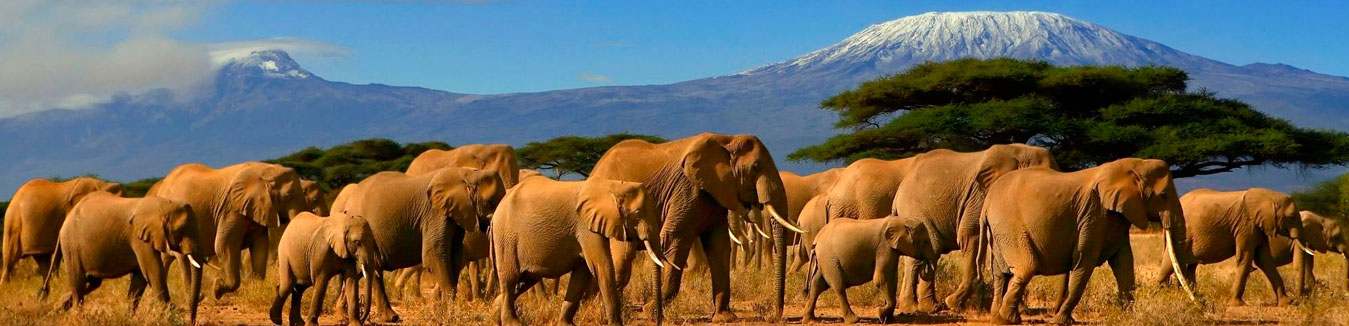 Slider Kenya Tours