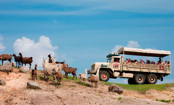 10 day Premium Namibia Road Safari Tour
