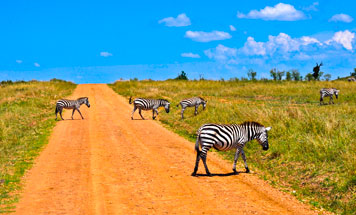 14 day Luxury Namibia Road Safari Tour