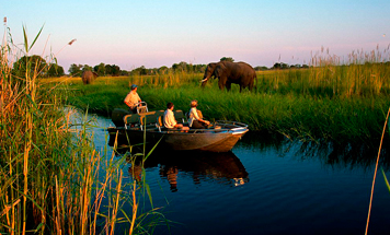 Botswana Premium Safari Tour