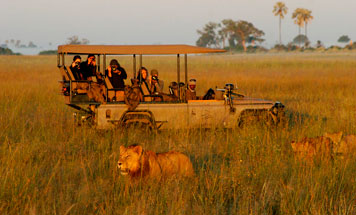 Kenyan Safari Escapes - Discover the Masai Mara
