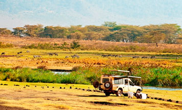 Tanzania Special Interest Tours