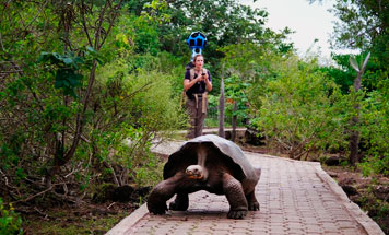 Christmas in Galapagos 2024