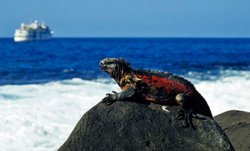 New Year in Ecuador & Galapagos 2024