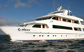 Last Minute Galaxy Tours (Domestic Flights Included!!) February and March